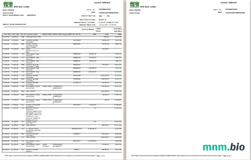 Pakistan MCB wyciąg z konta bankowego Word i szablon PDF, 2 strony